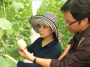 Áp dụng khoa học công nghệ vào canh tác nông nghiệp tại thành phố Hồ Chí Minh - ảnh 2